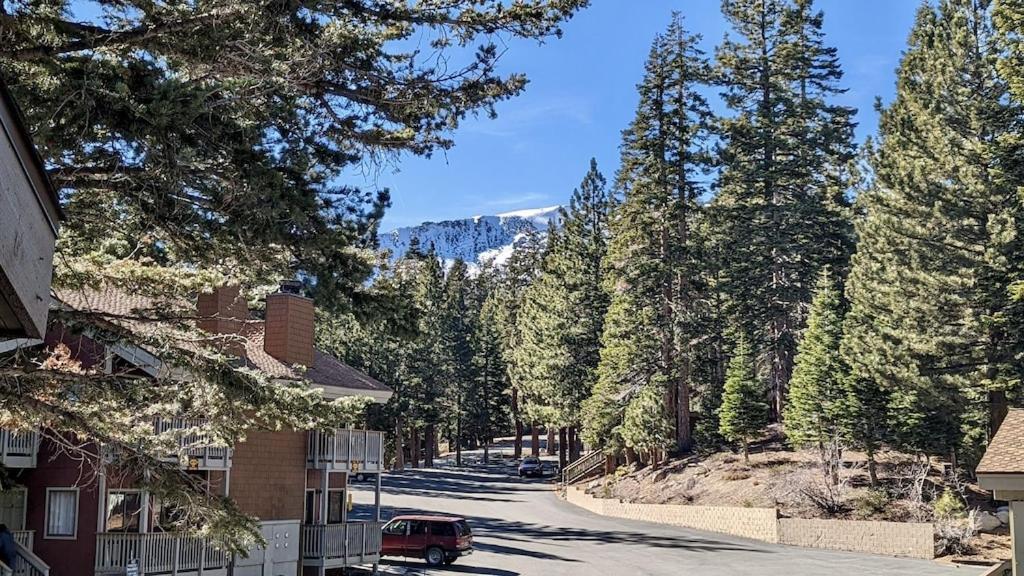Cozy Condo Walking Distance To Village And Gondola W/ Pool/ Jacuzzi Sleeps 4. Mammoth Lakes Eksteriør bilde